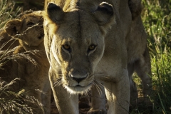 Kenya-January-2020-4546