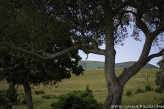 Kenya-January-2020-4618