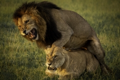 Kenya-January-2020-4649