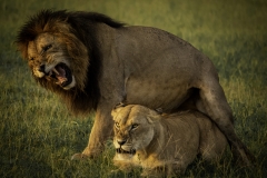 Kenya-January-2020-4650