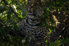 Kenya-January-2020-4681