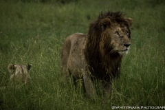 Kenya-January-2020-4724