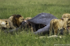 Kenya-January-2020-4762