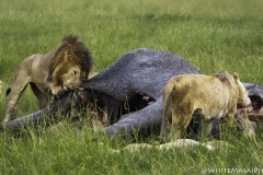 Kenya-January-2020-4775