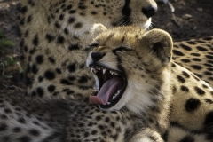 Kenya-January-2020-5796