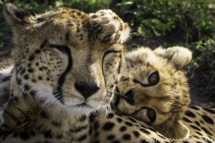 Kenya-January-2020-5831