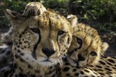 Kenya-January-2020-5844