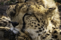 Kenya-January-2020-5852