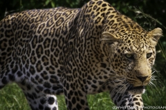 Kenya-January-2020-5913