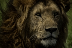 Kenya-January-2020-5996