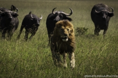 Kenya-January-2020-6032