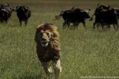 Kenya-January-2020-6038