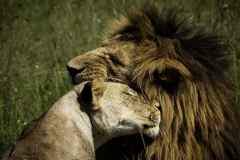 Kenya-January-2020-6062