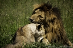 Kenya-January-2020-6069