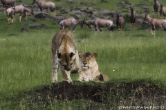 Kenya-January-2020-6303