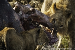 Kenya-January-2020-6426