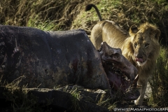 Kenya-January-2020-6438