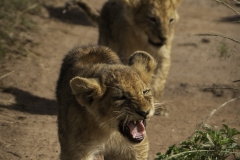 Kenya-January-2020-6522