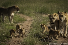 Kenya-January-2020-6560