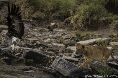 Kenya-January-2020-6784