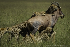 Kenya-January-2020-6817-G