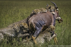 Kenya-January-2020-6818-L