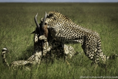 Kenya-January-2020-6834-G