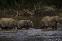 Kenya-January-2020-6924