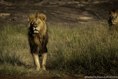 Kenya-January-2020-6935