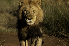 Kenya-January-2020-6945