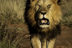 Kenya-January-2020-6955