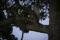 Kenya-January-2020-7071