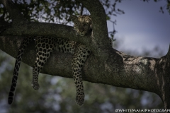 Kenya-January-2020-7085