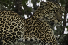 Kenya-January-2020-7087