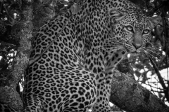 Kenya-January-2020-7088