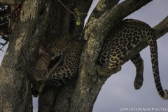 Kenya-January-2020-7154