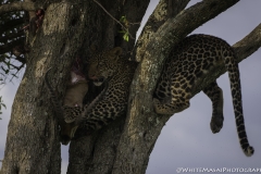 Kenya-January-2020-7158