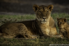 Kenya-January-2020-7227