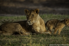 Kenya-January-2020-7230