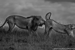 Kenya-January-2020-7299