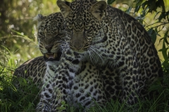 Kenya-January-2020-7462