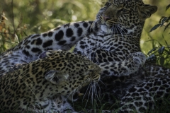 Kenya-January-2020-7524