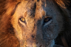 January_2019_Gallery_web-5759