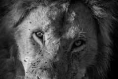 January_2019_Gallery_web-5765