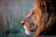 January_2019_Gallery_web-5783