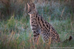 January_2019_Gallery_web-5807