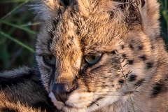 January_2019_Gallery_web-5838