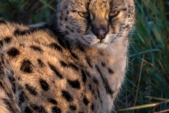 January_2019_Gallery_web-5846