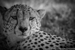 January_2019_Gallery_web-5885