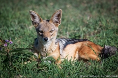 January_2019_Gallery_web-5892